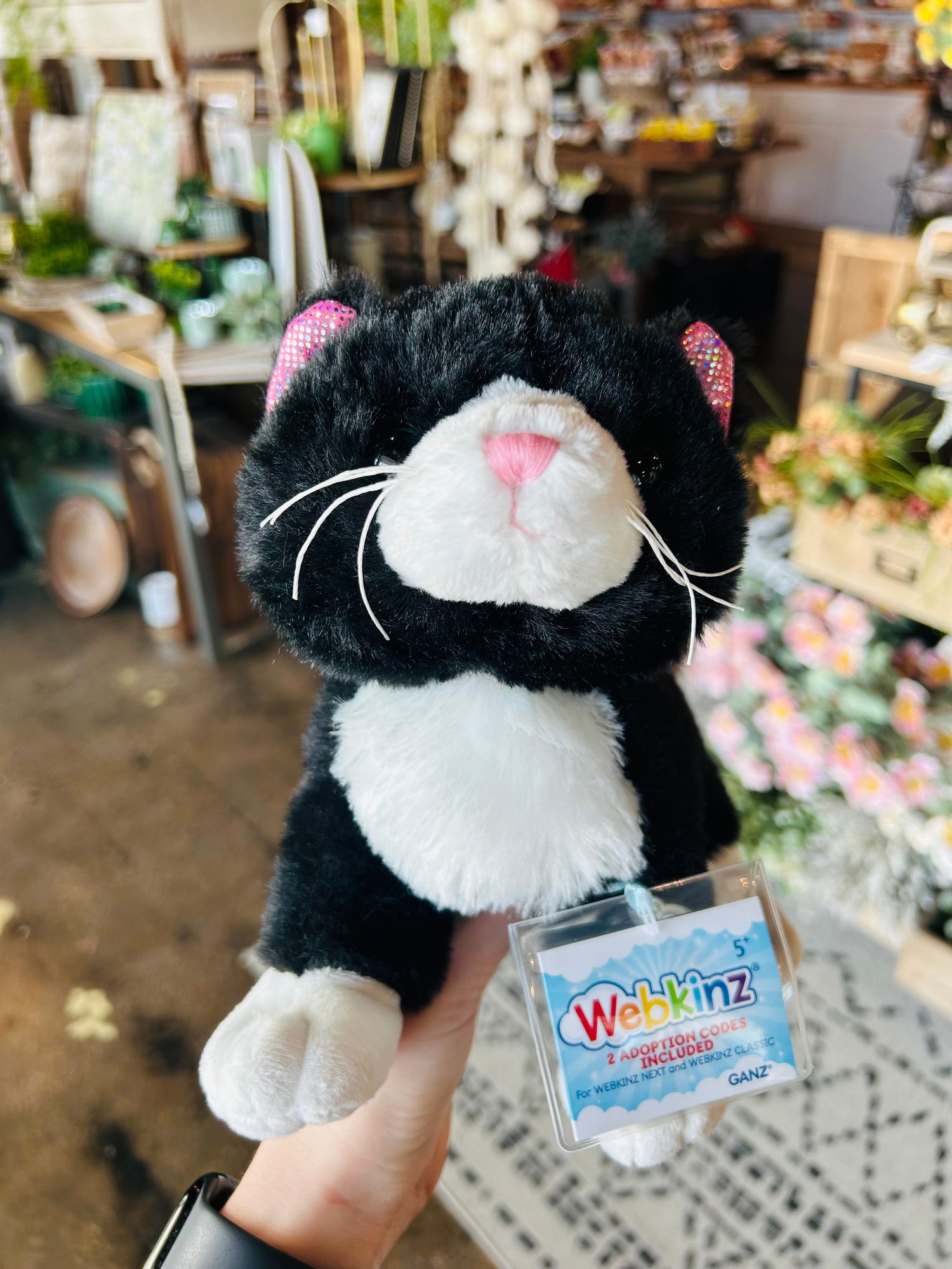 Webkinz