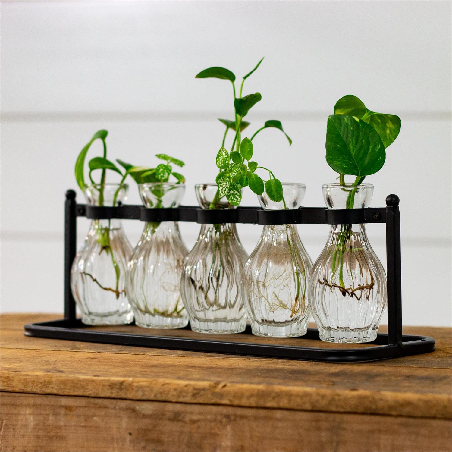 Cluster Bud Vase