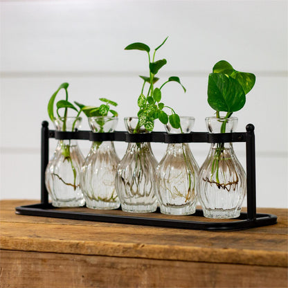 Cluster Bud Vase