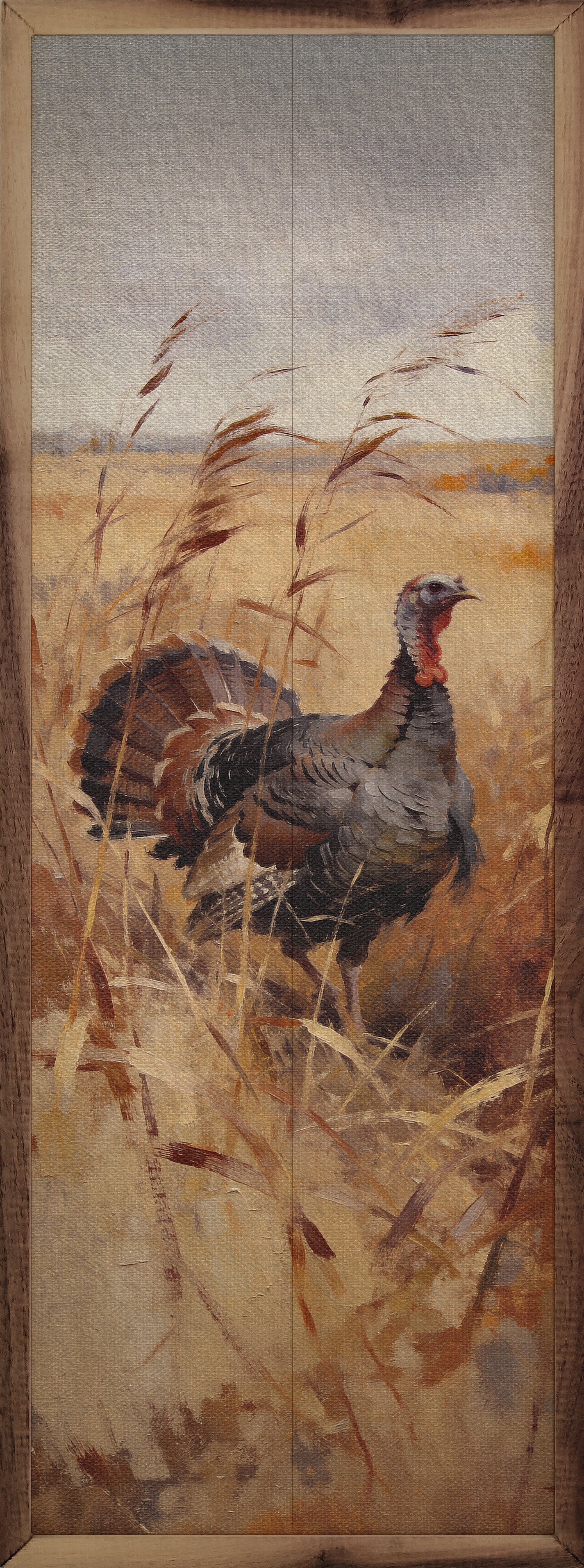 Prairie Turkey In Fall Grass