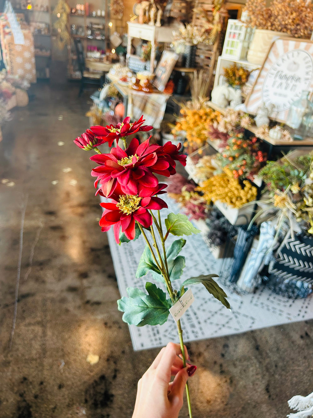 Red Daisy