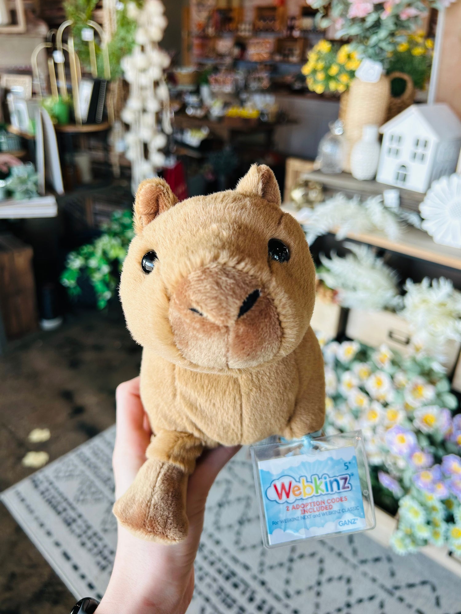 Webkinz
