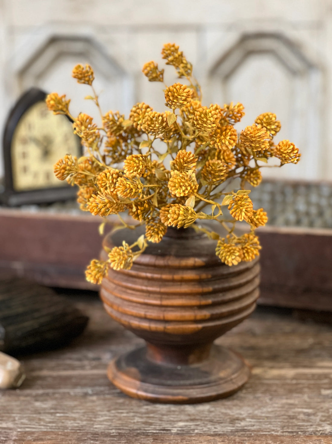 Russet Cone Bush