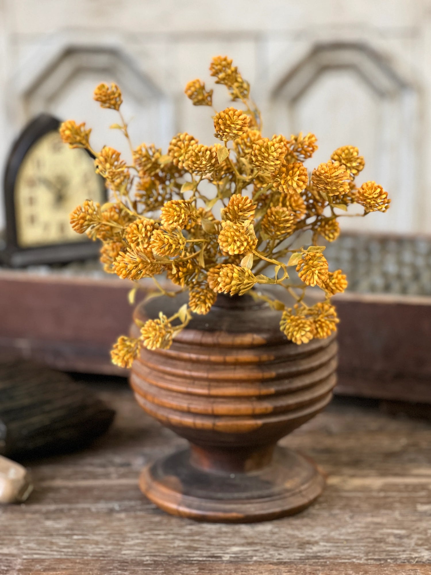 Russet Cone Bush