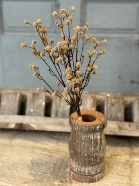 Winged Seeds Bundle