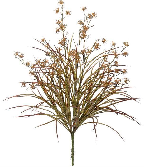Mountain Grass &amp; Berry