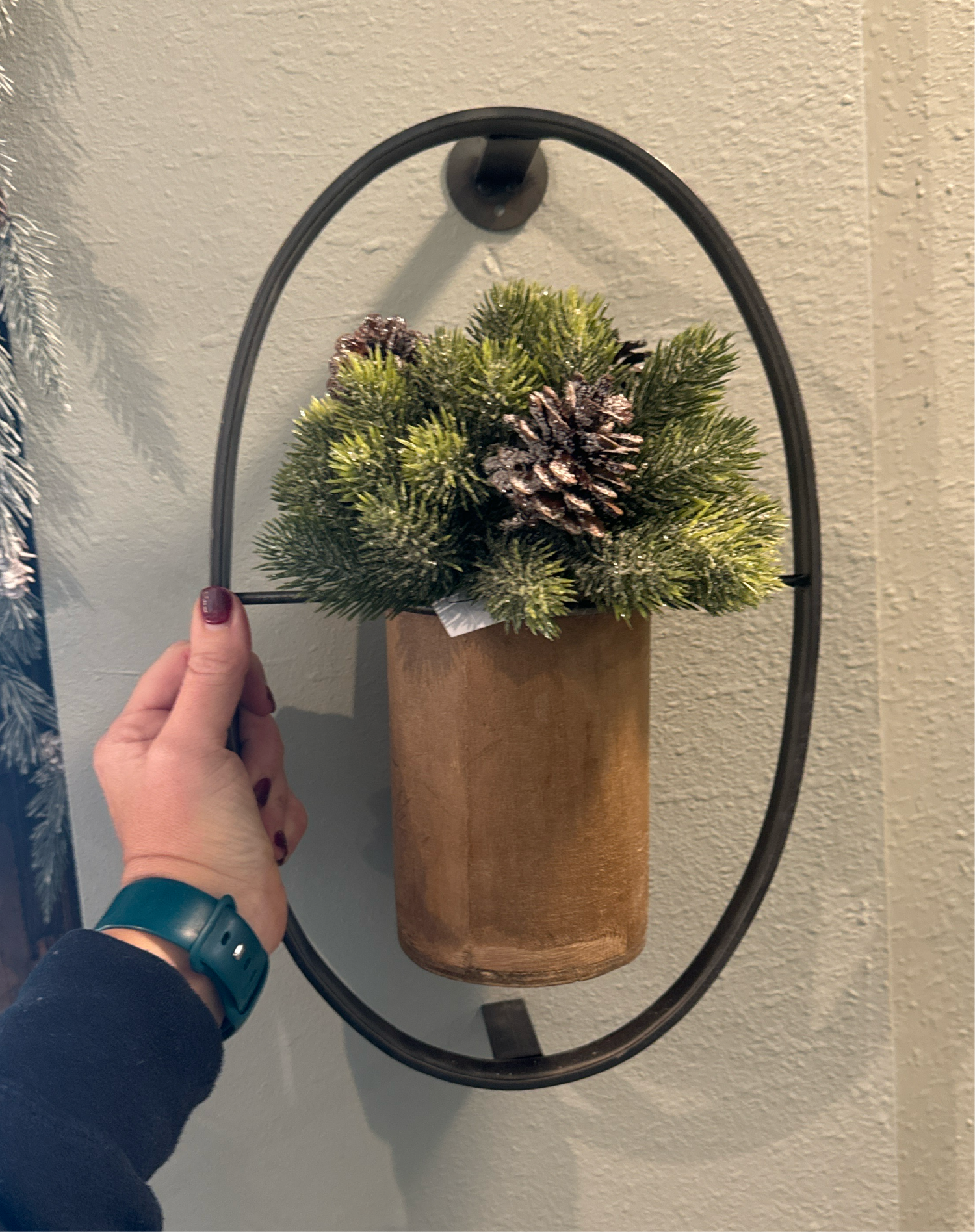 Circle Wall Planter