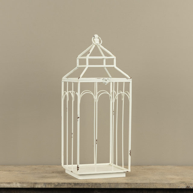 Ashley Lantern