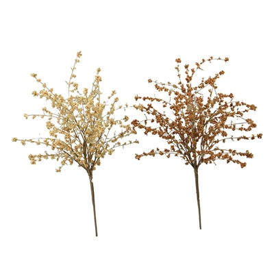 Hairy Pinweed Pick