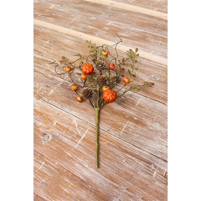 Pumpkin &amp; Berry Pick
