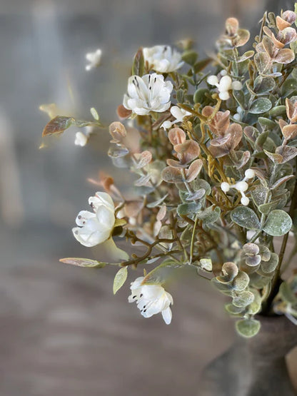 Chalice Blooms Bush