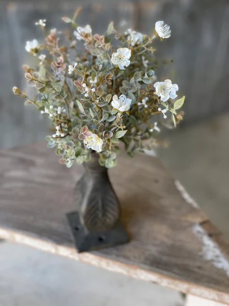 Chalice Blooms Bush