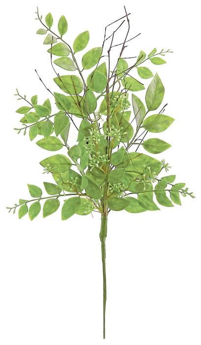 Seeding Laurel Spray