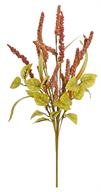 Tassel Seed Bush