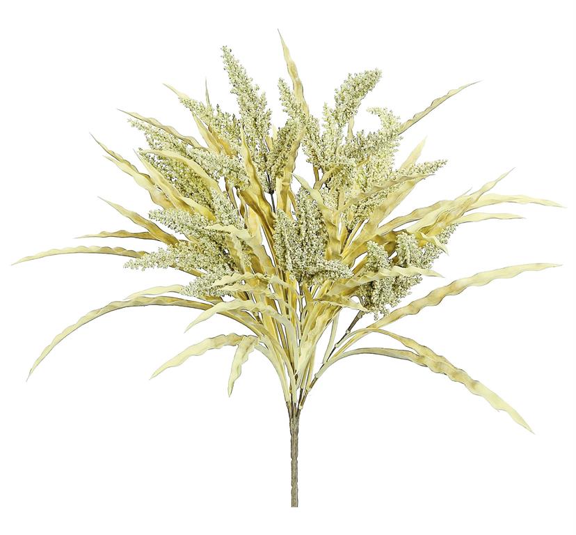 Seeding Grass Bush