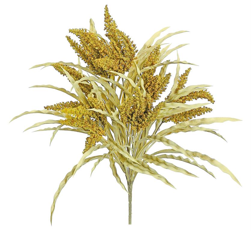 Seeding Grass Bush