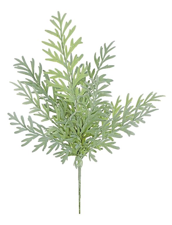 Grevillea Bush