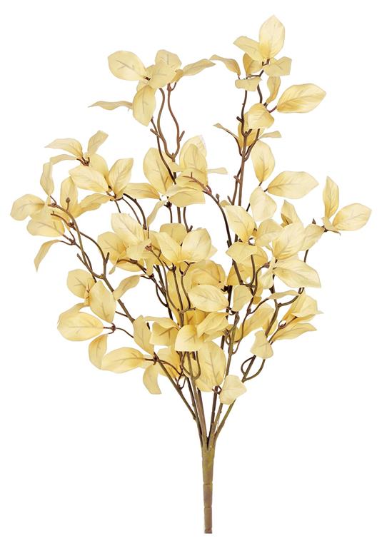 Leaf Bush