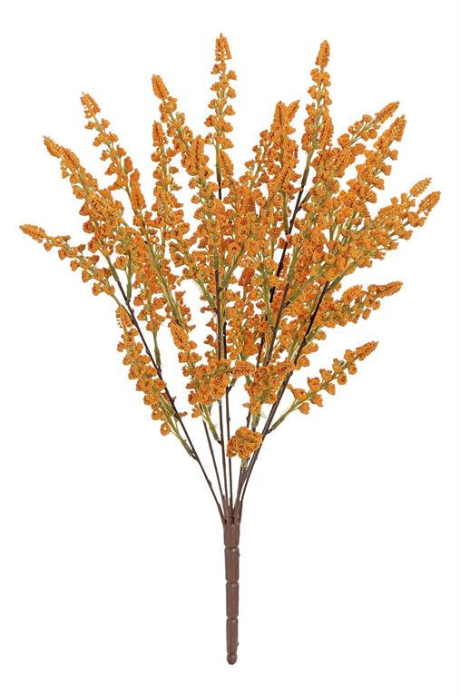 Silver Wattle Bush