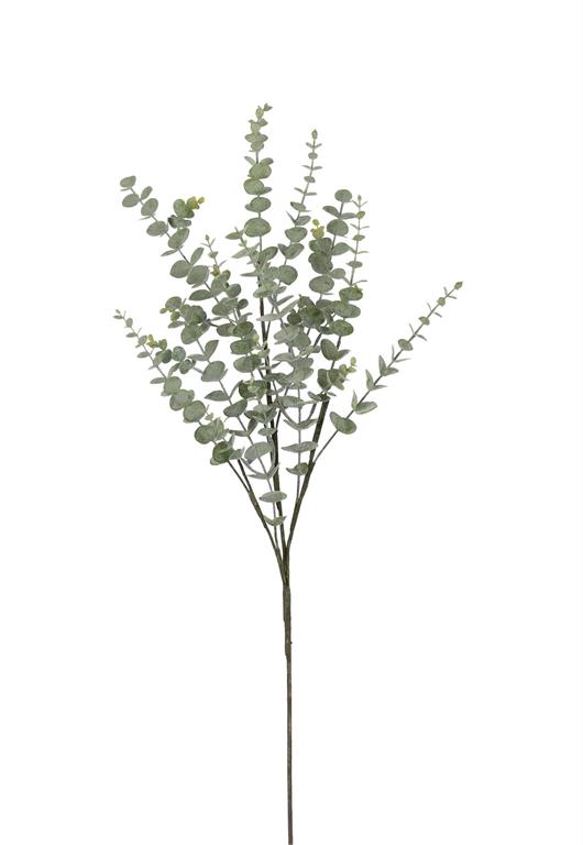 Mini Eucalyptus Spray