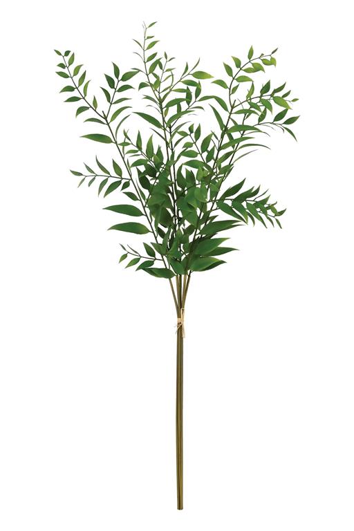 Smilax Leaf Bundle