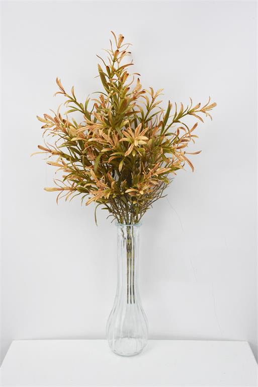 Rosemary Bush