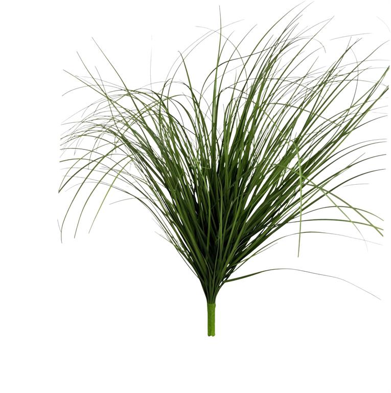 Grass Bush