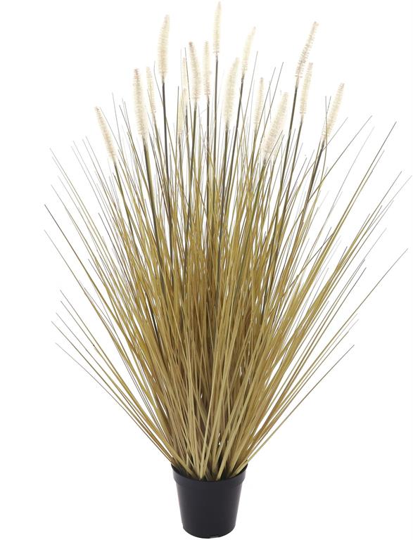 Grass &amp; Cattail in Pot