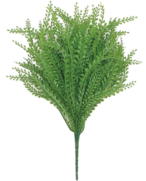 Jelly Bean Grass Bush