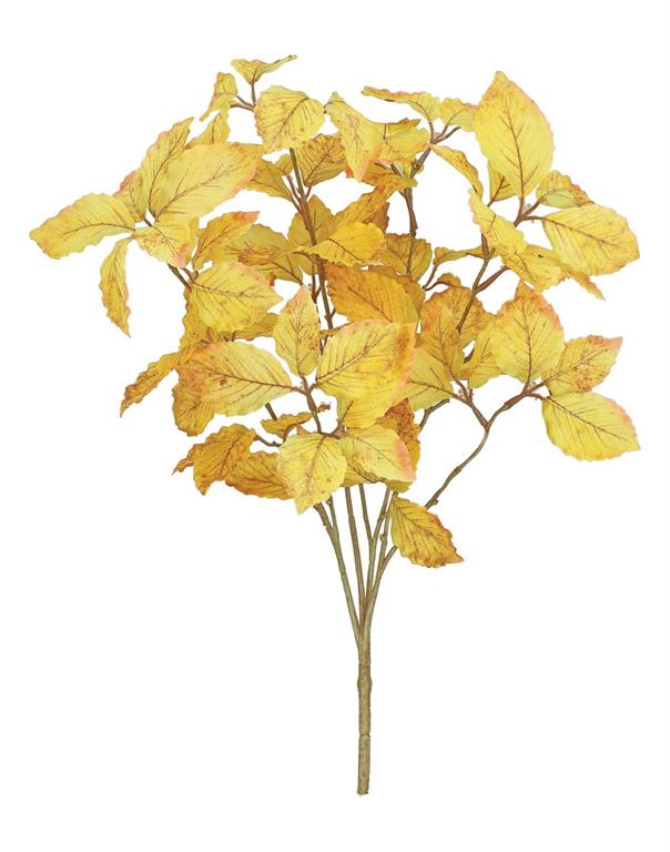 Elm Leaf Spray