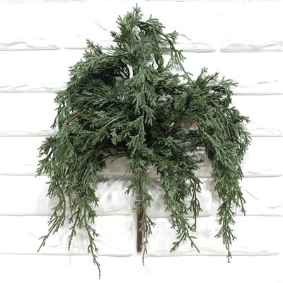 Green Juniper Pick