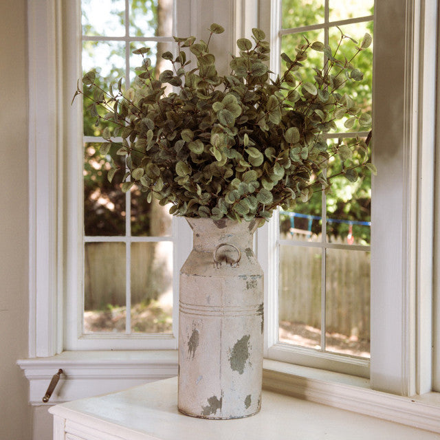 Eucalyptus Bundle