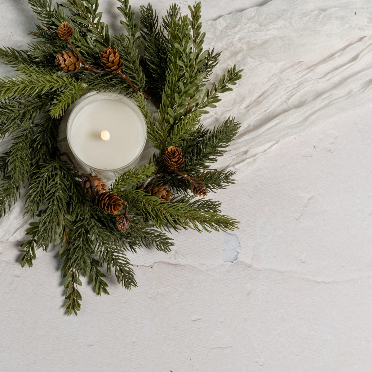 White Spruce &amp; TSUGA Hemlock Ring
