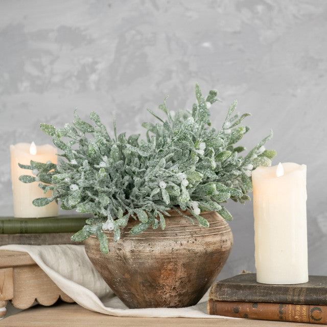 Frosted Mistletoe Bush