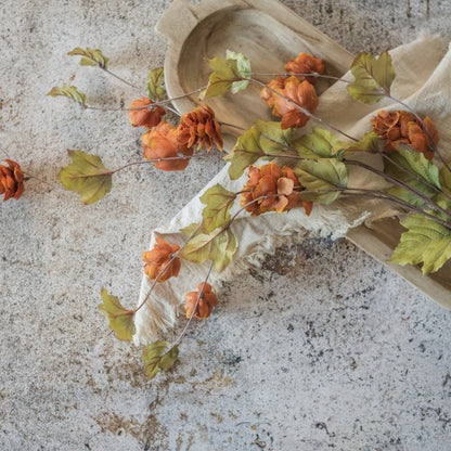 Brown Hops Stem