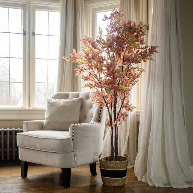 Fall Maple Leaf Tree