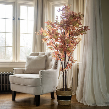 Fall Maple Leaf Tree