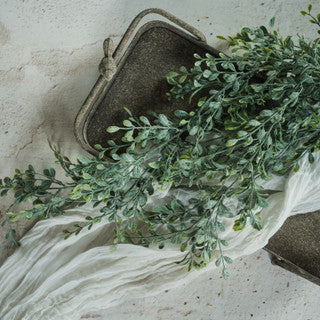 English Boxwood Hanging Bush
