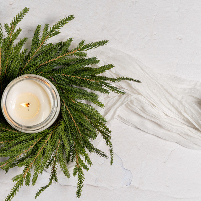 Soft Touch Norfolk Pine Ring