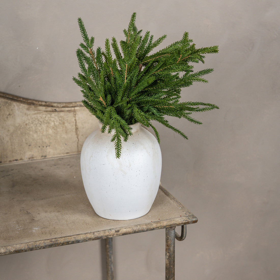 Soft Touch Norfolk Pine Pick