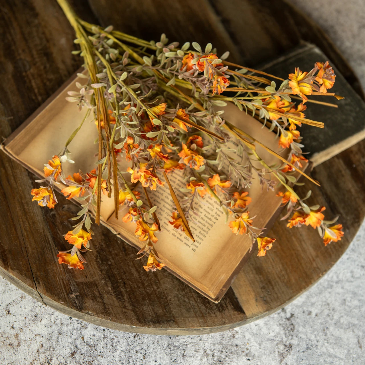 Orange Wild Flower &amp; Grass Bush