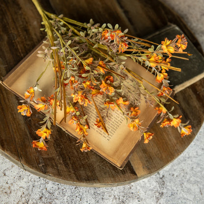 Orange Wild Flower &amp; Grass Bush