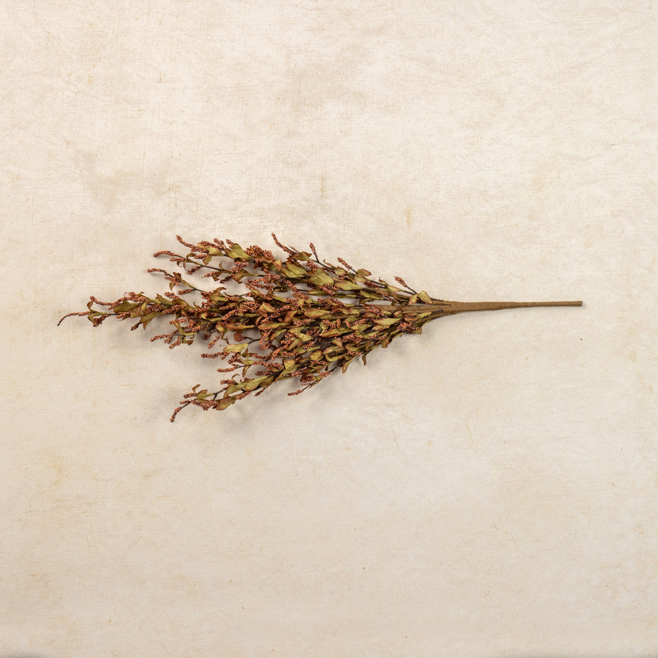 Rust Heather Bush
