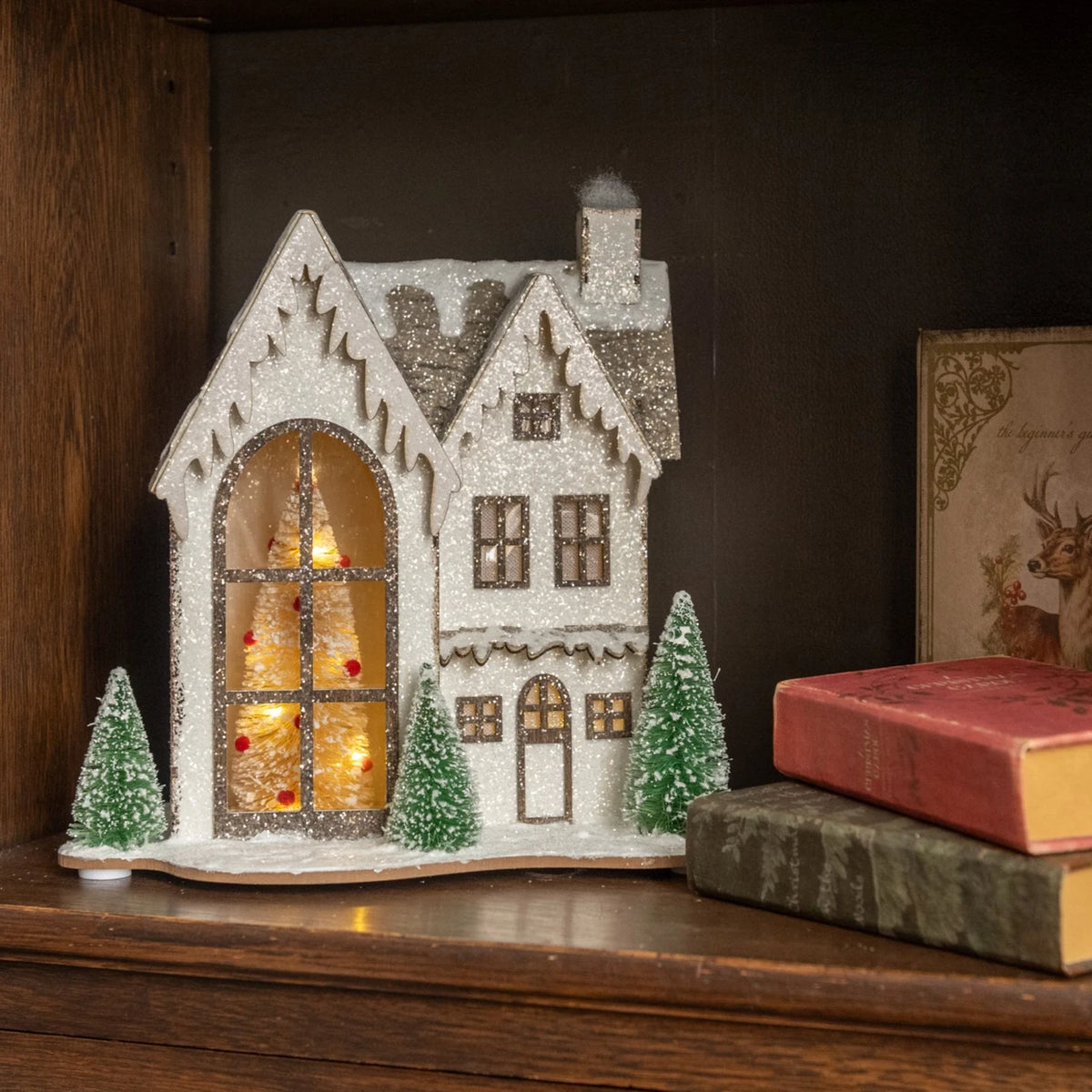 Lighted Snowy Holiday House