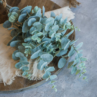 Eucalyptus Bundle