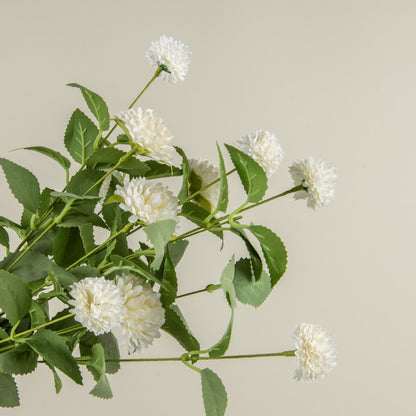 Mum Bush