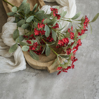 Yarrow Bush