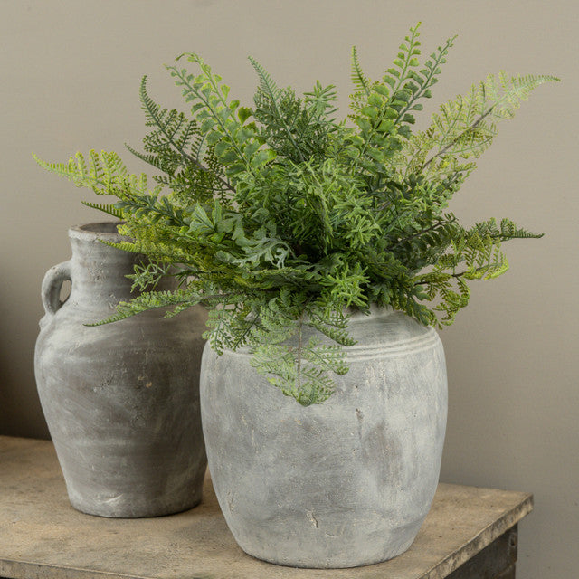 Soft Touch Mixed Fern Bush