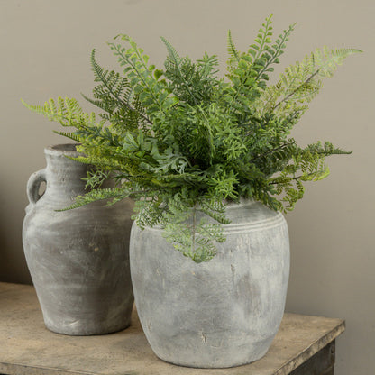 Soft Touch Mixed Fern Bush