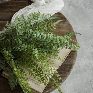 Soft Touch Mixed Fern Bush
